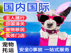 齐齐哈尔航空物流国际宠物托运 【国